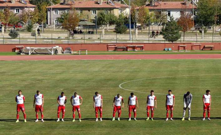 Türkiye Futbol Federasyonu (TFF),