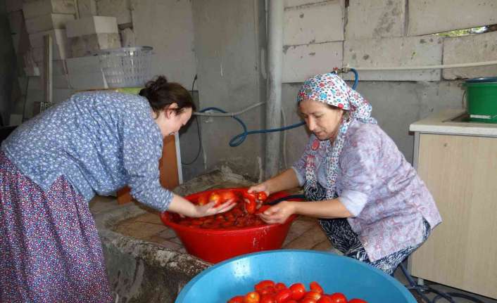 Erzincan’da kış aylarının yaklaşmasıyla salça kazanları kaynamaya başladı. Vatandaşlar yıllardır