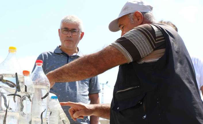 Erzincan’da yaşayan sülük satıcıları yaklaşık 35 yıldır gölden topladıkları sülükleri