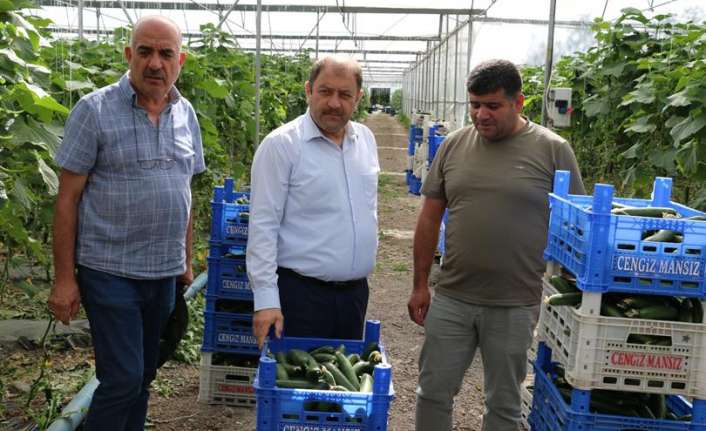 Erzincan tarım sektörü son yıllarda genç girişimcilerin başarılı çalışmalarıyla adından
