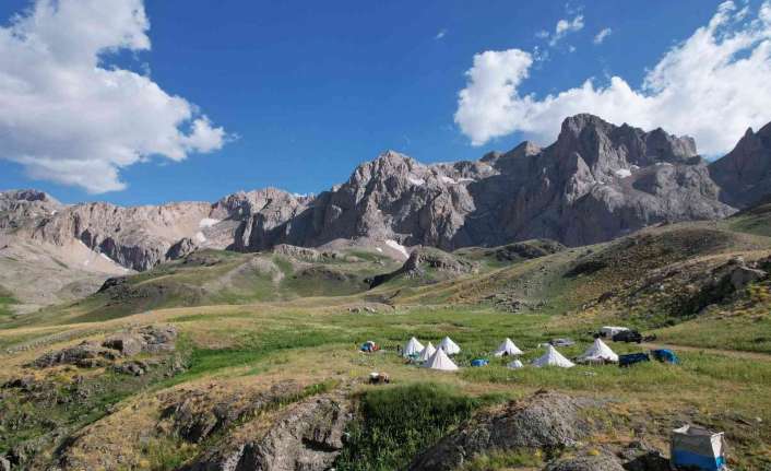 Erzincan’ın Kemah, Tercan, Çayırlı ilçelerindeki 2 bin 800 rakımlı yaylalarda