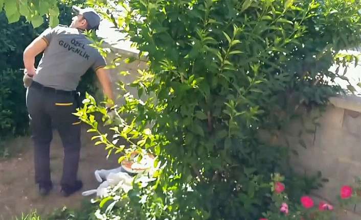 Erzincan’da binanın girişinde yerde duran yavru kargayı korumaya çalışan diğer