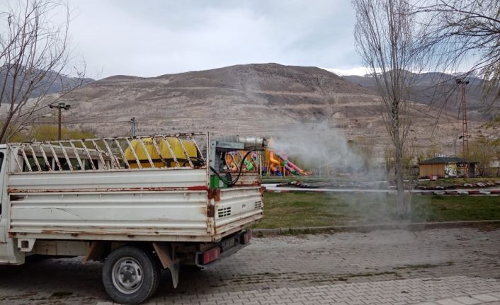 Erzincan Belediyesi yaz aylarında ortaya çıkan sinek ve haşerelere karşı