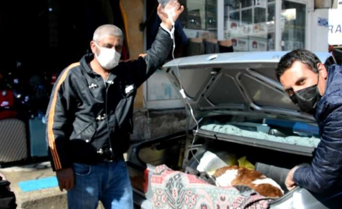 Erzincan’ın Tercan ilçesinde bir çiftçi, 1 hafta önce doğan ve