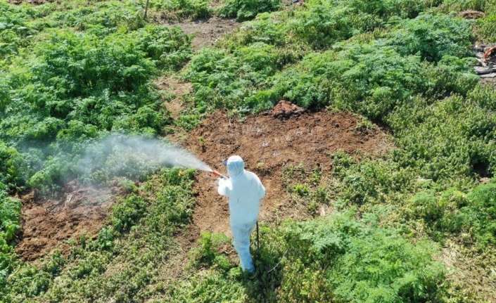 Havaların ısınması ile birlikte kış uykusundan uyanacak canlılar ve haşereler