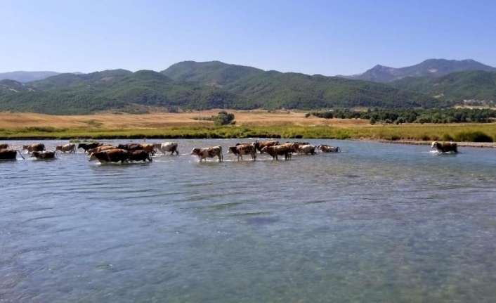 Doğu Anadolu Bölgesinde hava sıcaklığı mevsim normallerinin 2 ila 4