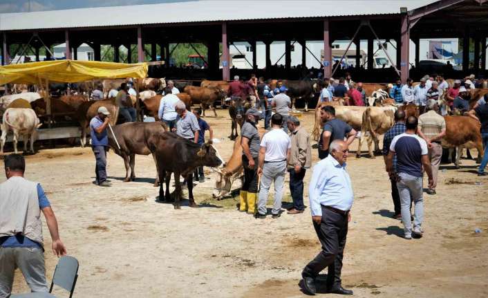ERZİNCAN VE İLÇELERİNDE SAT-2 SEROTİPİ HASTALIĞI NEDENİYLE DURDURULAN HAYVAN HAREKETLERİ