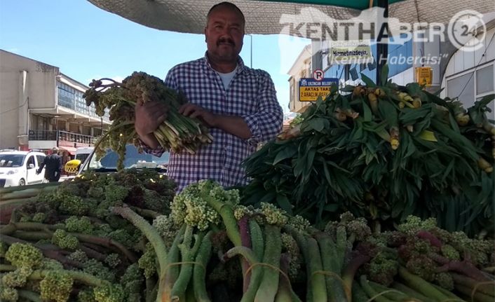 Erzincan’da ve Doğu Anadolu Bölgesi’nde her yıl bahar aylarında dağlardan