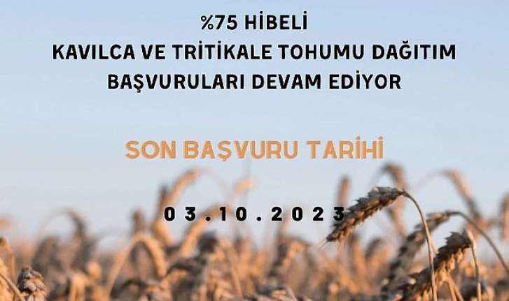 Yüzde 75 hibe ile kavılca ve tritikale tohumu desteği başvuruları