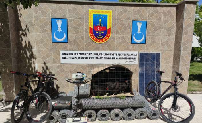 Erzincan merkez ve Üzümlü ilçelerinde hırsızlık olaylarına karıştıkları tespit edilen