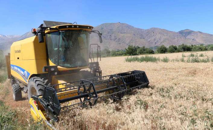 Erzincan ve ilçelerinde hububat hasadının başlamasıyla birlikte çalışmaya başlayan biçerdöverler