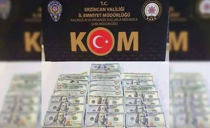 Iğdır’da bıçaklı yağma ile yüklü miktarda dolar gasp ettiği iddia