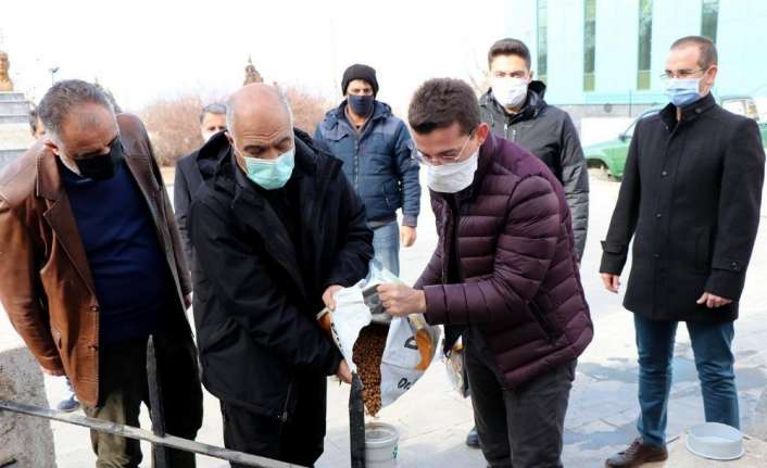 Erzincan’ın İliç ilçesinde kaymakamlık bünyesinde oluşturulan hayvan besleme grubu ekipleri