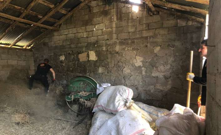 Erzincan’da itfaiye ekibi, samanlar arasına girdiği görülen 3 metre uzunluğundaki