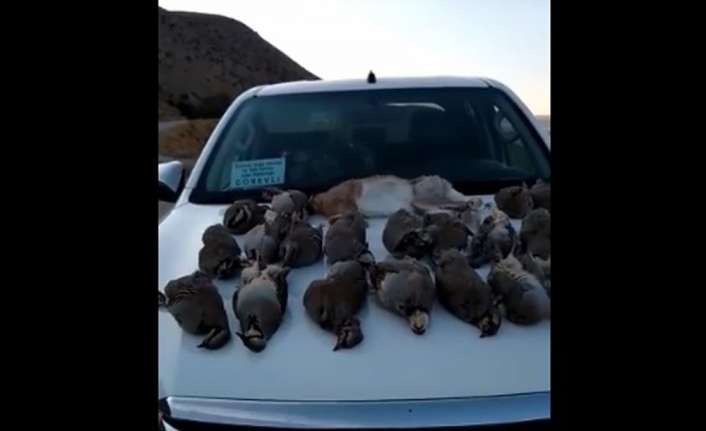 Erzincan’da kaçak keklik avladıkları tespit edilen 6 kişiye 22 bin
