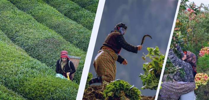 Tarım ve Orman Bakanı Yumaklı 21 yılda kadın üreticilere çeşitli