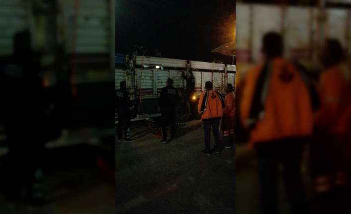 Erzincan’da kamyonun kasasının kapaklarına sıkışan büyükbaş hayvanlar, itfaiye ekipleri tarafından