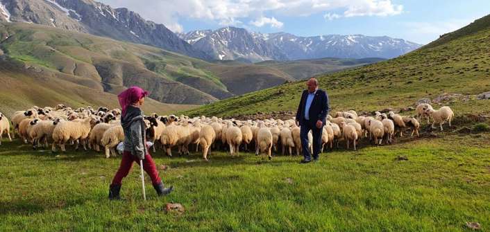 AK Parti Erzincan Milletvekili Süleyman Karaman, tulum peynirine dikkat çekmek