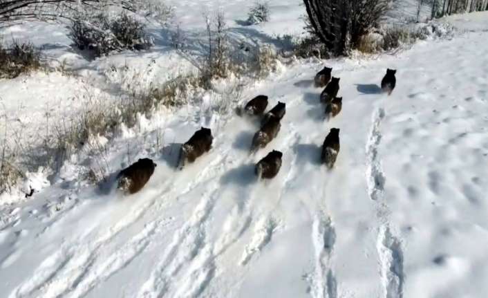 Erzincan’da karla kaplı arazide