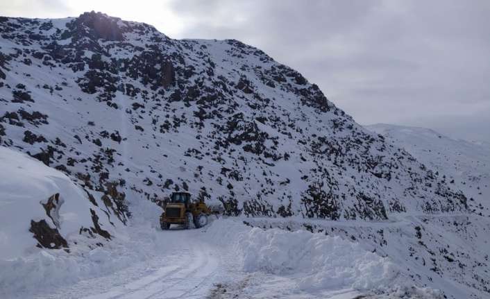 Erzincan’ın Kemaliye ilçesine bağlı Ocak köyü Yukarı Yuvacık mezrasında 3