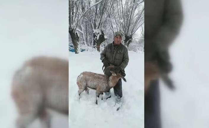 Dünya Doğa Koruma Birliğinin (IUCN) yayımladığı Nesli Tükenme Tehlikesi Altında