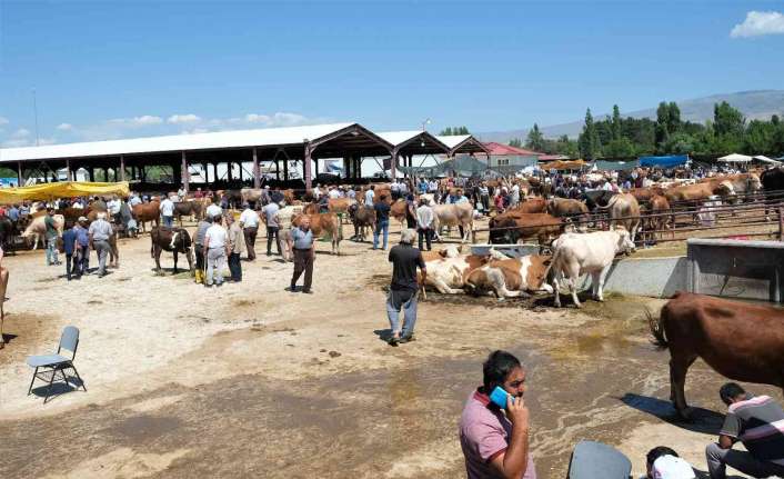 Erzincan’da kurban bayramına bir gün kala arefe gününde kurban pazarında