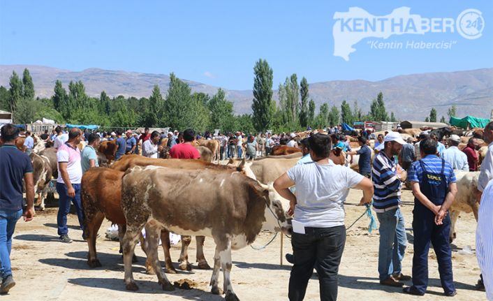 Yaklaşan Kurban Bayramı öncesi Erzincan Belediyesi Canlı Hayvan pazarın da