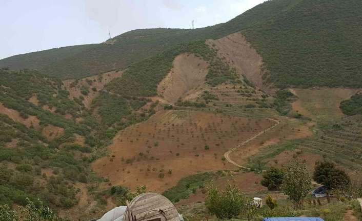 Erzincan’ın İliç ilçesinde kiraladığı orman vasfını kaybetmiş 222 dönümlük ağaçsız