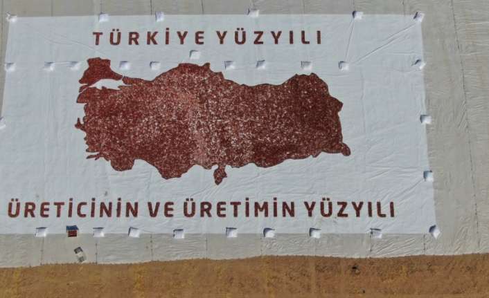 Elazığ’da 20 bin dekar alanda yetiştirilen yaklaşık 100 bin tonluk