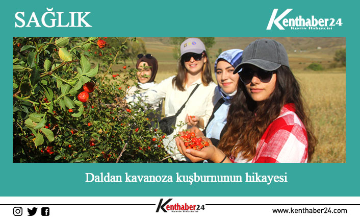 Doğada organik olarak yetiştiği için en saf meyvelerden birisi sayılan
