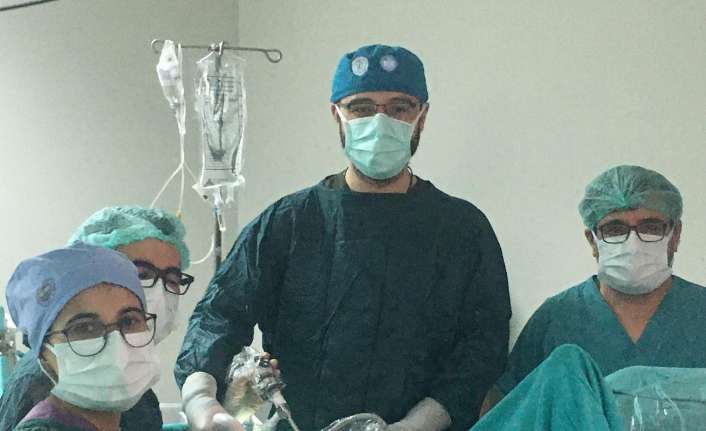 Erzincan’da Mengücek Gazi Eğitim ve Araştırma Hastanesi Üroloji Anabilim Dalı