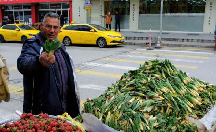 LEZZET VE ŞİFA DEPOSU ÇİRİŞ OTU ERZİNCAN’DA TEZGAHLARDA YERİNİ ALDI
