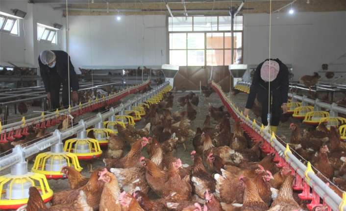 Erzincan Gül Celal Toraman Mesleki ve Teknik Anadolu Lisesi’nde bin