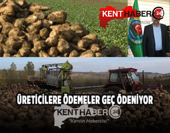 Ziraat Odası Başkanı Tamer Geyik, Şeker fabrikası üreticilere gerekli ödemeyi