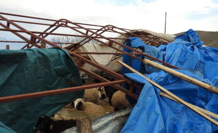 Meteoroloji 12. Bölge Müdürlüğünce Erzincan, Erzurum, Kars, Ağrı ve Ardahan