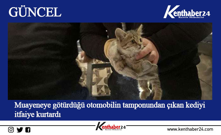 Muayeneye götürdüğü otomobilin tamponundan çıkan kediyi itfaiye kurtardı Erzincan’da bir otomobilin tampon kısmına giren yavru kedi itfaiye ekiplerinin