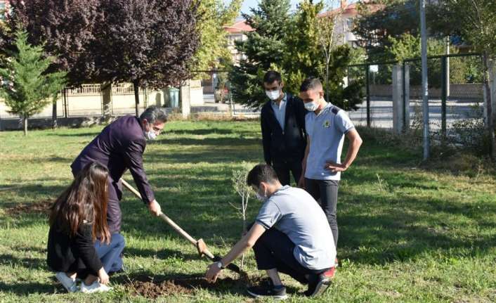 Son zamanlarda meydana gelen orman yangınlarına dikkat çekmek için Erzincan