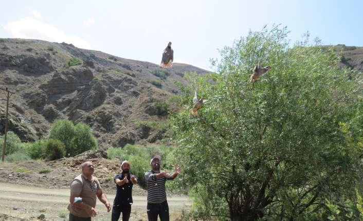 Erzincan’da 400 adet kınalı keklik doğaya salındı.