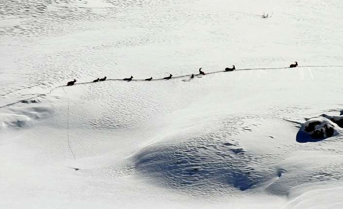 Türk Silahlı Kuvvetlerinin (TSK) başarılı operasyonlarıyla terörden temizlenen 3 bin