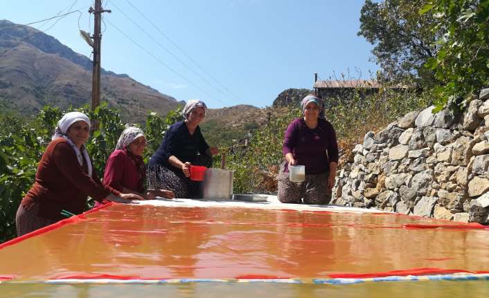 Dutun önemli geçim kaynağı olduğu Erzincan’ın Kemaliye ilçesinde kadınlar, zorlu