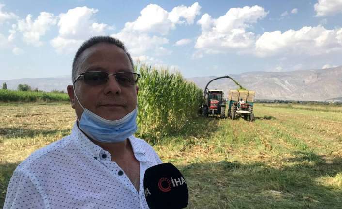 Erzincan’da yoğun bir şekilde ekimi yapılan silajlık mısırın hasadı başladı.