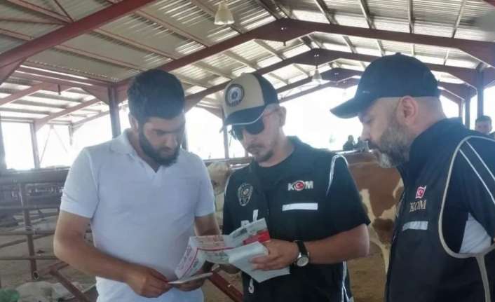 Yaklaşan Kurban Bayramı dolayısıyla Erzincan’da kurulan canlı hayvan pazarında İl
