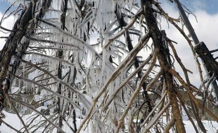 Erzincan Binali Yıldırım Üniversitesi Güzel Sanatlar Fakültesi Dekanı Prof. Dr.
