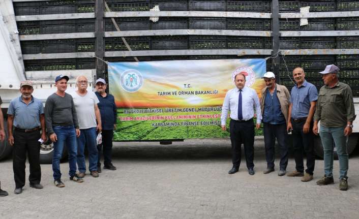Erzincan Tarım ve Orman İl Müdürlüğü tarafından hazırlanan Kışlık Sebze