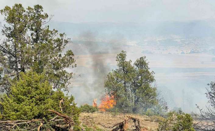 Erzincan’ın Refahiye ilçesinde ormanlık alanda çıkan yangın kontrol altına alınmaya