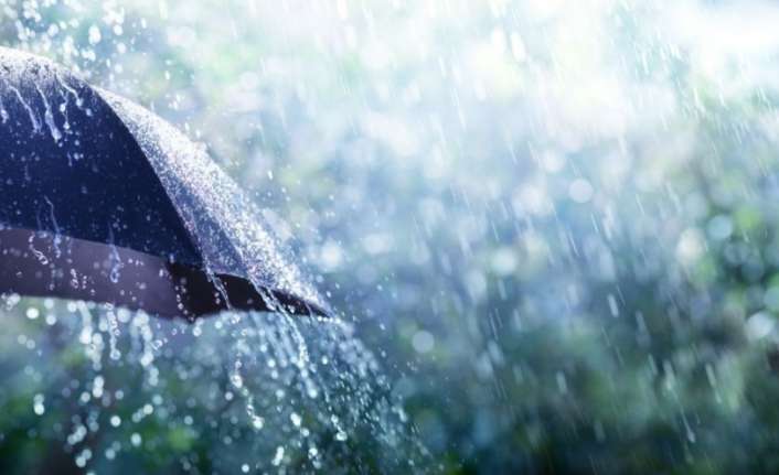 Meteoroloji Genel Müdürlüğü tarafından yapılan açıklamaya göre Doğu Karadeniz'in iç