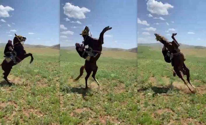Erzincan’ın Tercan ilçesinde sırtına binilmesiyle hırçınlaşarak şaha kalkan at, sırt