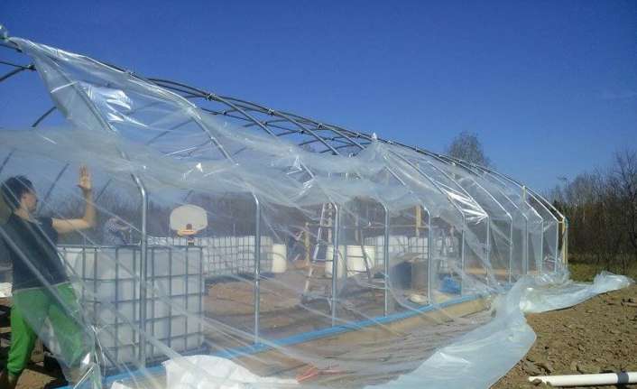 Erzincan’da Atıl Kalmış Örtü Altı Tesislerin Üretime Kazandırılması Projesinde başvuru