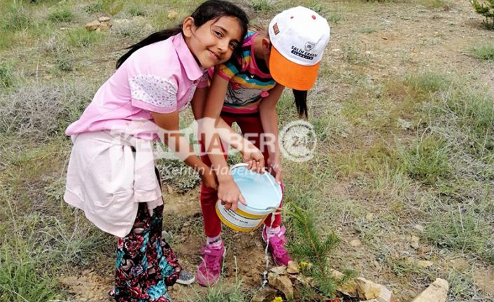 Kardeş Okullar sevgi Ormanı Öğrencilerin sevgileri ile büyümeye devam ediyor.