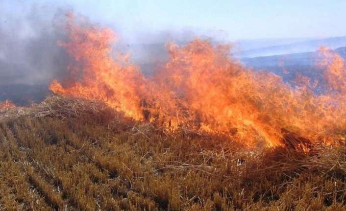 Erzincan’da son günlerde yaşanan aşırı sıcak hava nedeniyle otluk, çalılık